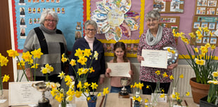 Scent of flowers a delight at Tedburn St Mary Spring Show

