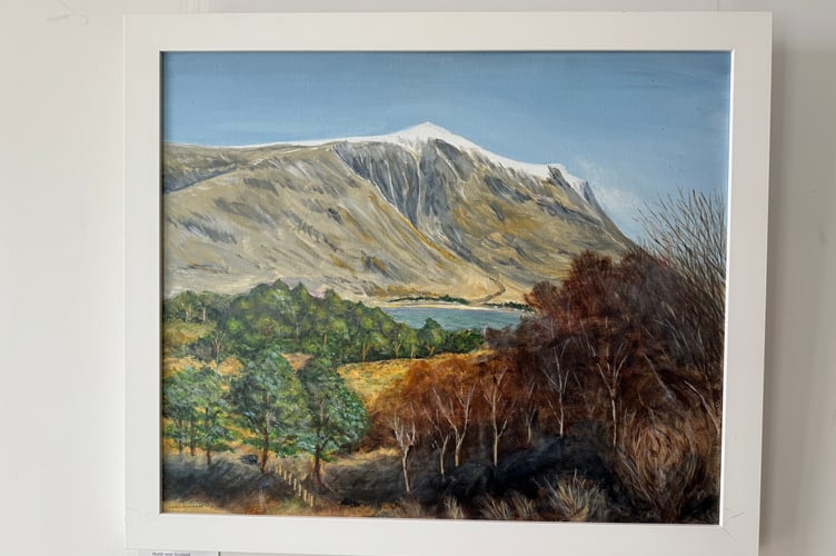 One of Justin Beament’s paintings on display.  AQ 7165
