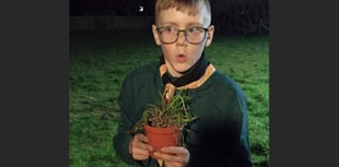 Crediton Scouts support town’s pollinator project
