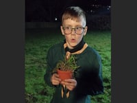 Crediton Scouts support town’s pollinator project
