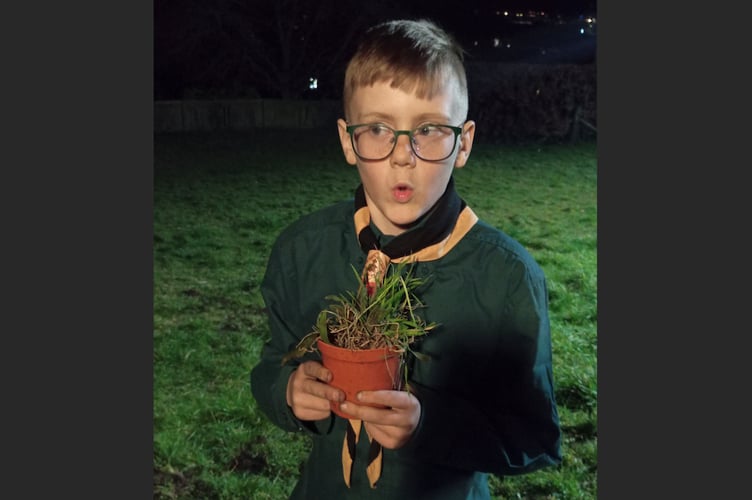One of the Crediton Scouts about to plant a pollinator-friendly plant.
