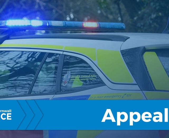Police seek witnesses after A361 fatal collision