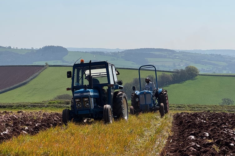 Two ploughing at Mid Devon Tractor Engine and Machinery Group Working Day near Crediton.  AQ 7998
