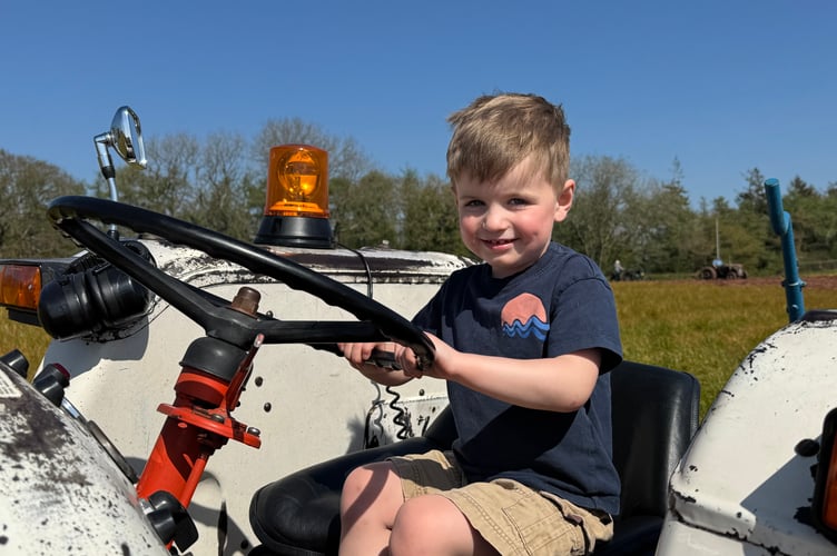 Wilbur (3), enjoyed sitting on his grandfather Martin Beer’s David Brown 955 tractor at the Working Day.  AQ 8020
