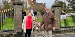 Donkey led procession on Palm Sunday
