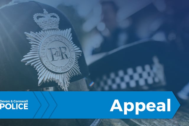 Information appeal after woman assaulted at Tiverton
