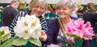 Spring blooms, bonsai trees and heritage plants at RHS Rosemoor