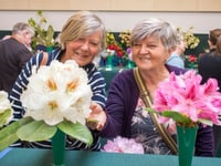 Spring blooms, bonsai trees and heritage plants at RHS Rosemoor