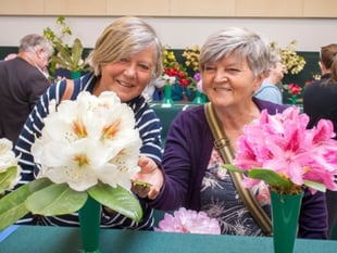 Spring blooms, bonsai trees and heritage plants at RHS Rosemoor