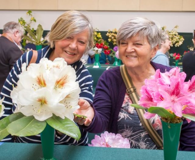 Spring blooms, bonsai trees and heritage plants at RHS Rosemoor