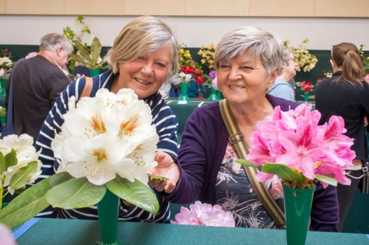 Admiring flowers at RHS Rosemoor