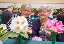 Don't miss spring blooms, bonsai trees and heritage plants at RHS Rosemoor