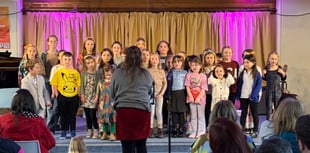 Musical delights at Landscore School concert
