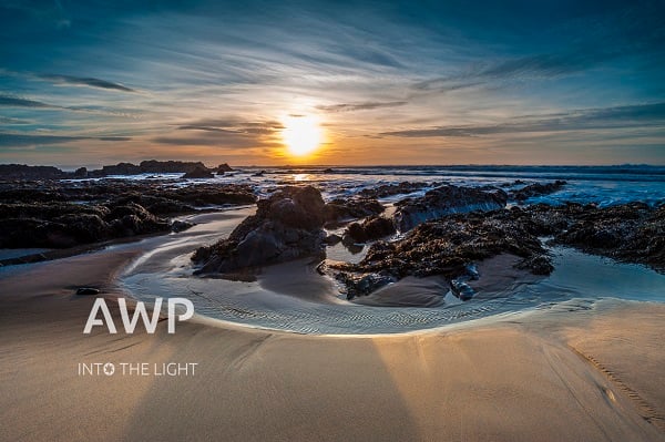 Into the light by photographer Andy Wills.