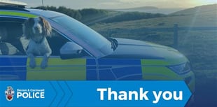 Police thank public for help at Crediton road traffic collision
