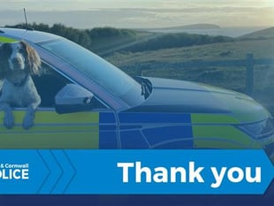 Police thank public for help at Crediton road traffic collision
