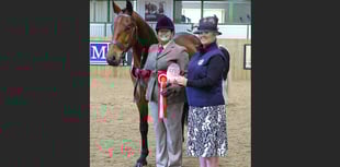 Crediton-based Rare Breed Horse qualifies for National Championship
