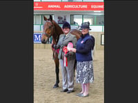 Crediton-based Rare Breed Horse qualifies for National Championship
