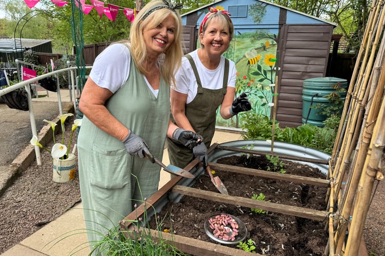 Land girls planting beans in the Community Garden at Pathfinder, Teresa Armstrong and Teresa Barrett.  AQ 0476
