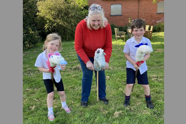 Appeal for hobby horses for County Show World Record attempt
