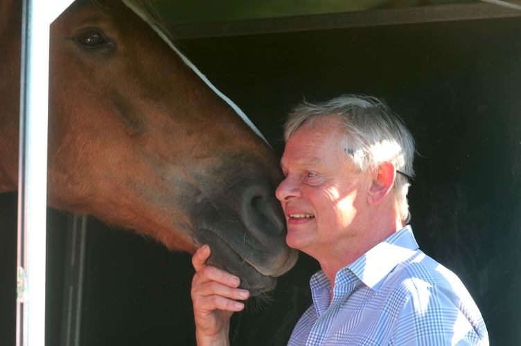 Devon County Show. Getting to nose you! Actor and heavy horse enthusiast Martin Clunes meets the gentle giants at the show