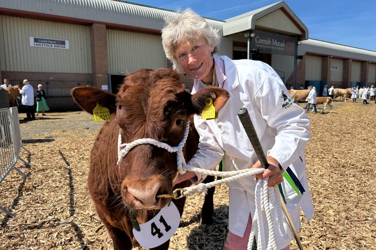 Grania Phillips of Colleton Manor, Chulmleigh, with one of her Red Ruby Devon cattle, Colleton Blaze, she exhibited at the Devon County Show. AQ 1589