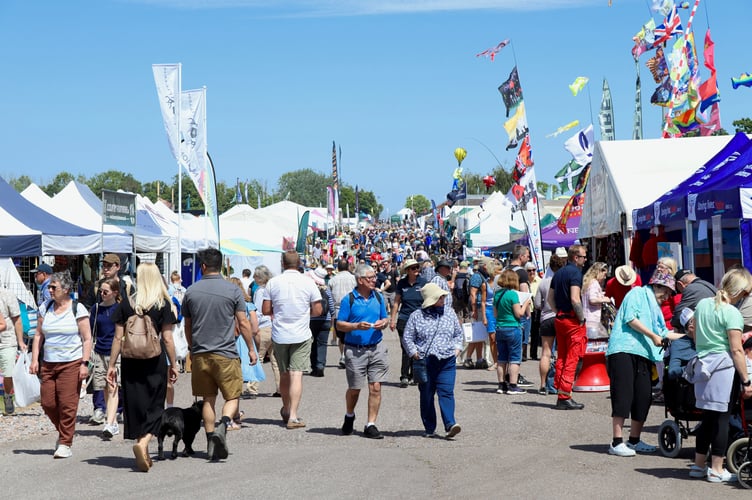 People browsing the various stands at the show