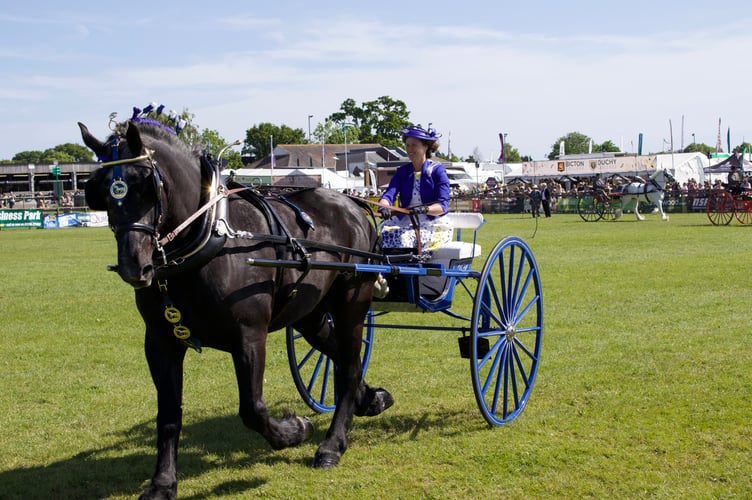 Carriage-driving in the main arena