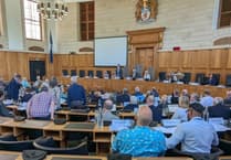 Green leader gets a seat in Lib Dem county council cabinet