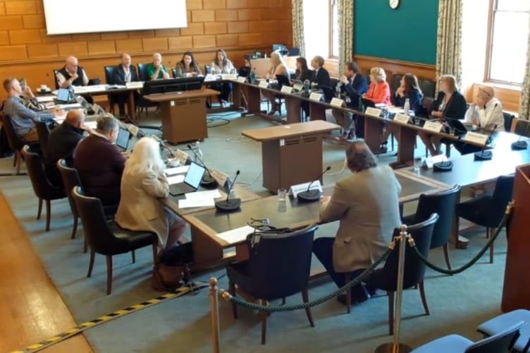 Measures to support foster carers were approved at the first cabinet meeting of the new Liberal Democrat administration at Devon County Council