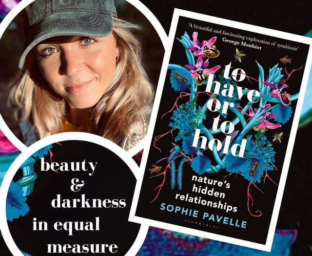 Acclaimed author to talk in Crediton on June 13
