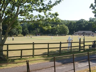 Relegation a distinct possibility for Sandford First Team
