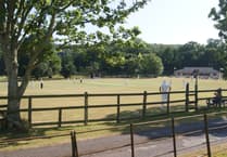 Sandford Cricket: Firsts Fall, Seconds Win Again