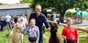 Half-term alpaca fun at Woolley Animals