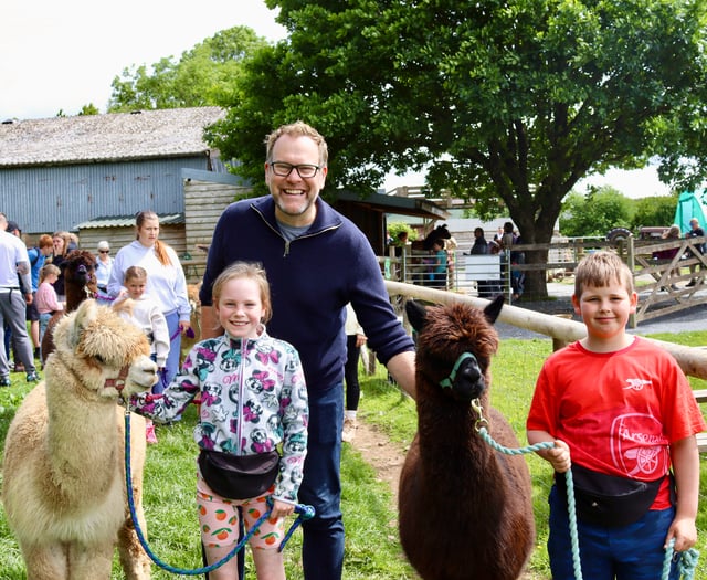 Half-term alpaca fun at Woolley Animals