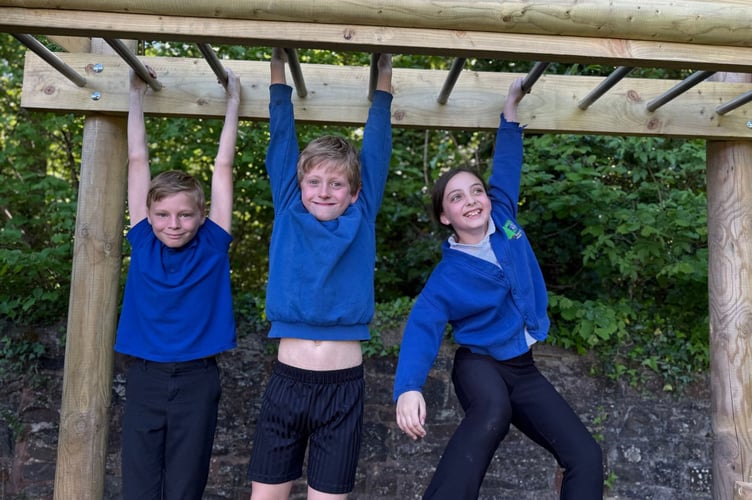 Aping around on monkey bars