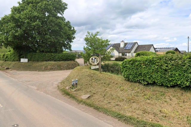 Fun for all the family at Witheridge farm’s open day