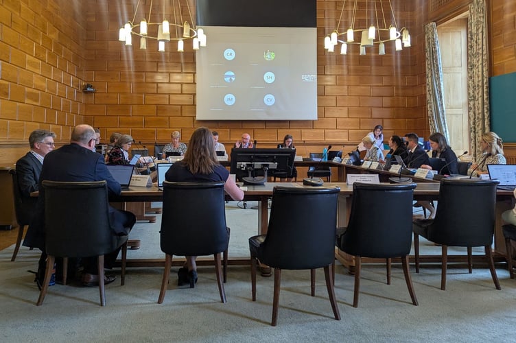 Devon County Council's audit committee