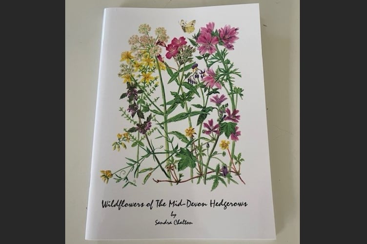 The cover of Sandra Charlton's book Wildflowers of the Mid Devon Hedgerows.