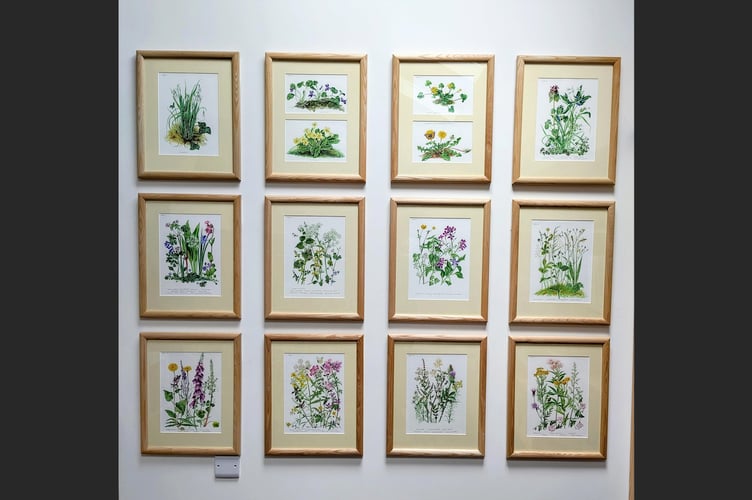 Sandra Charlton's set of paintings.