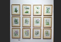 View Wildflowers of Mid Devon Hedgerows paintings until the end of July