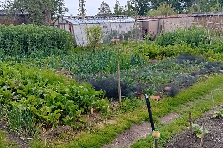 Most of the food for the community is grown in the walled garden by the community members.
