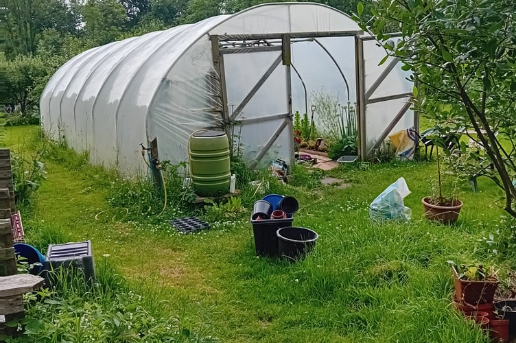 A polytunnel is used to help grow food for the community at Beech Hill.