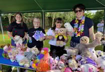 Hayward's School Summer Fete - a huge success with fine weather