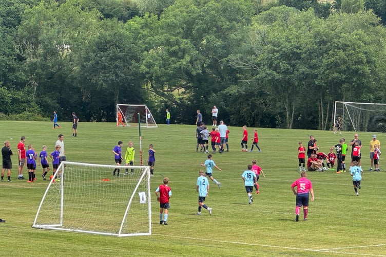 Many pitches were in play for the Tedburn tournament. AQ 5229