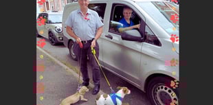 30 signed up to Crediton dog friendly retailer scheme so far
