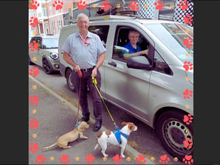 30 signed up to Crediton dog friendly retailer scheme so far
