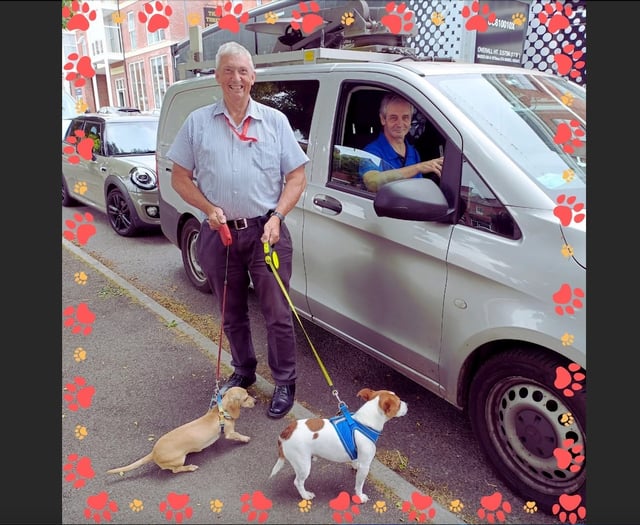 30 signed up to Crediton dog friendly retailer scheme so far
