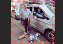 30 signed up to Crediton dog friendly retailer scheme so far
