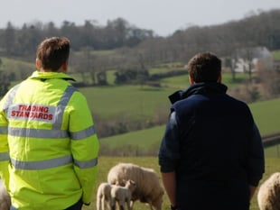 Struggling farmers urged to seek help following ban for cattle neglect